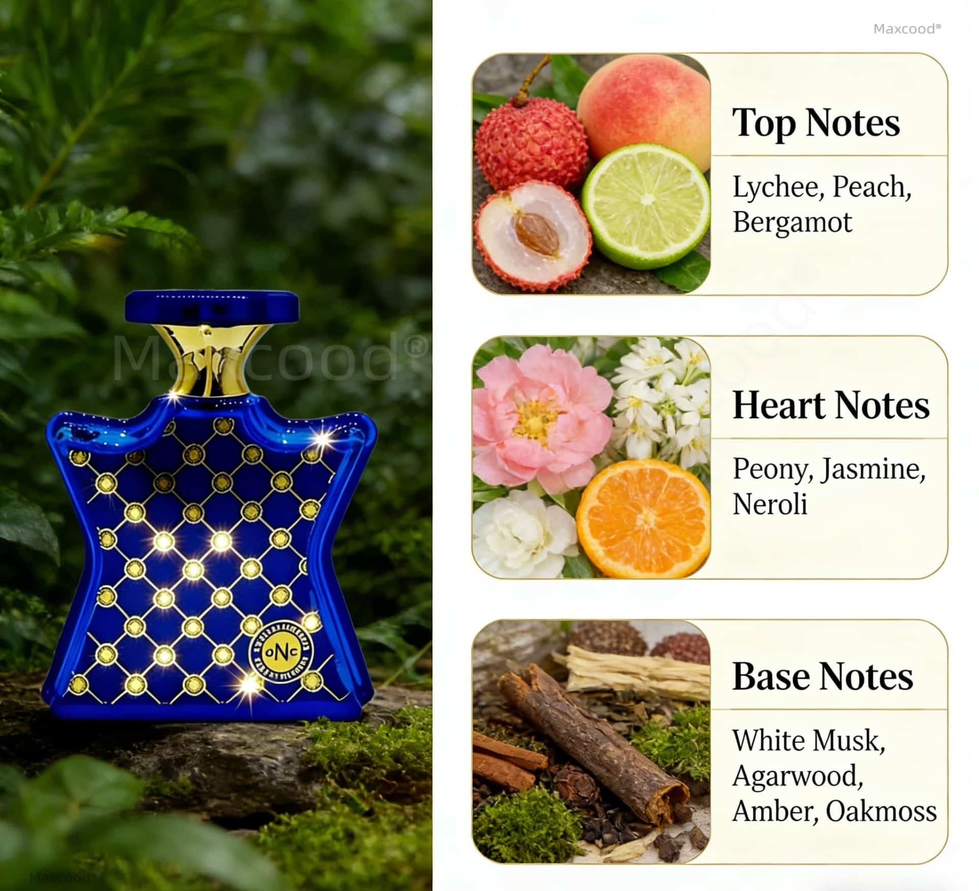 감귤과 꽃향기 향수, 오래 지속되는 향, 일상 사용에  - Perfume Fragrance For Girls 리뷰 및 가격