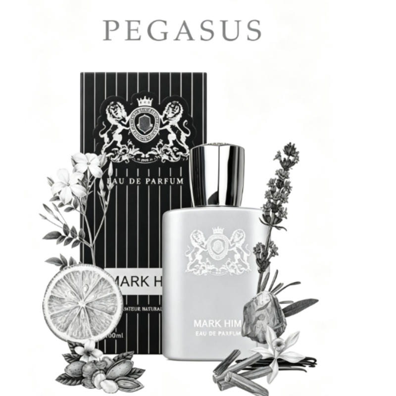 100ml 마크 히 남성 향수, 오래 지속되는 마그네틱 - Perfume Adrien Fragrance 리뷰 및 가격